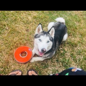 Meet your Posher, Mario